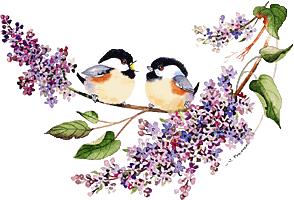 birds on branch