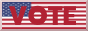 vote