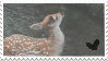 deer3