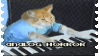 keyboardcat