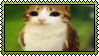 othercat
