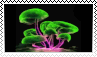 trippyfungi2