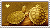 turtlelove